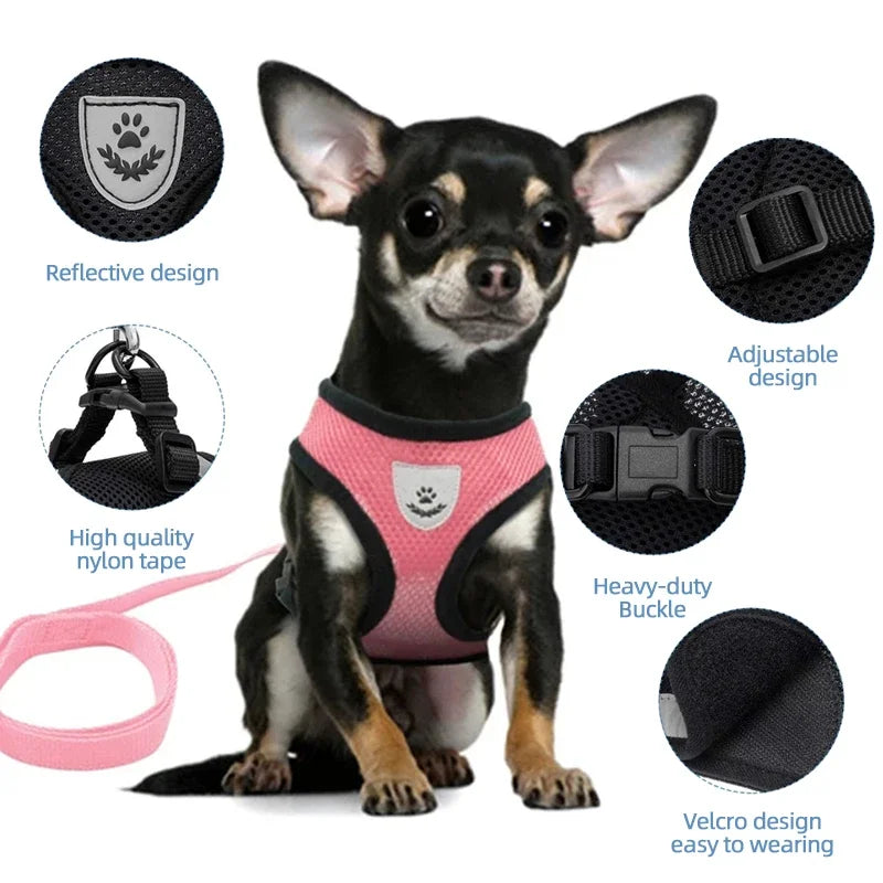 Breathable Mesh Pet Harness & Leash Set