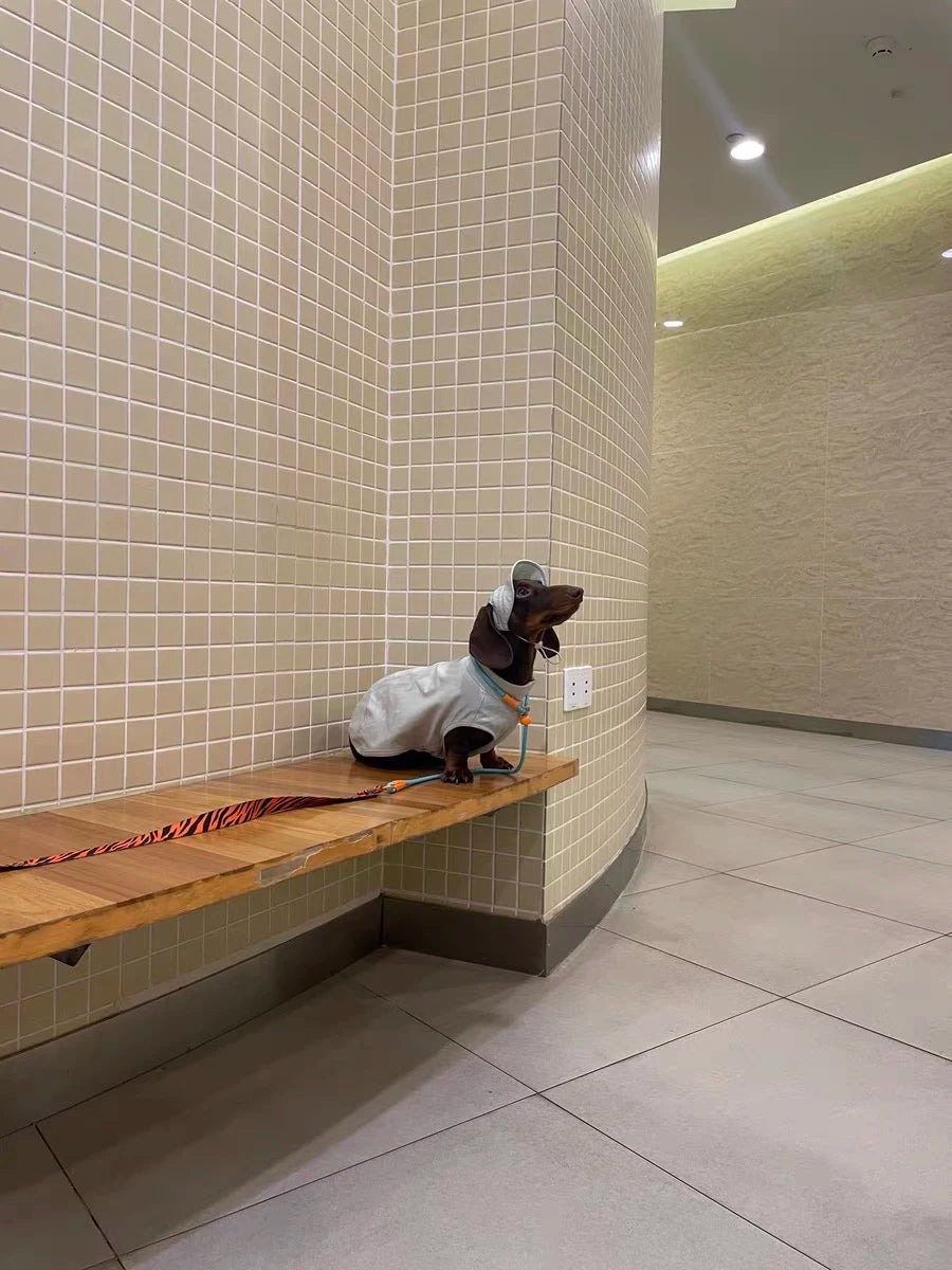 Summer T-Shirt for Dachshunds, Soft Grey Short Sleeve Vest for Wiener Dogs