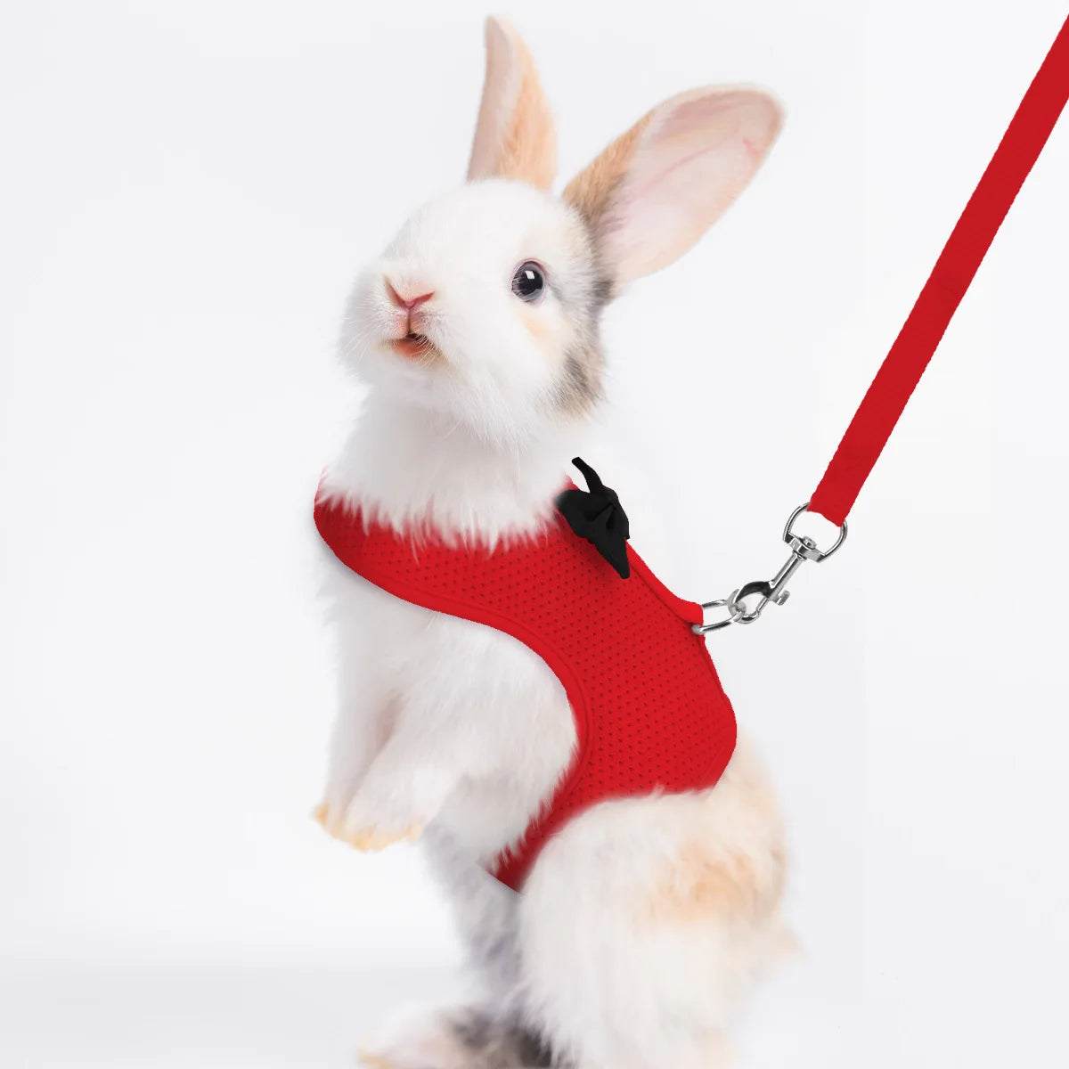 Soft Mesh Comfort Harness Vest for Rabbits & Small Pets