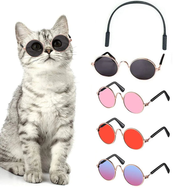 Cute Pet Sunglasses – UV Protection for Small Dogs, Cats & Photo Props
