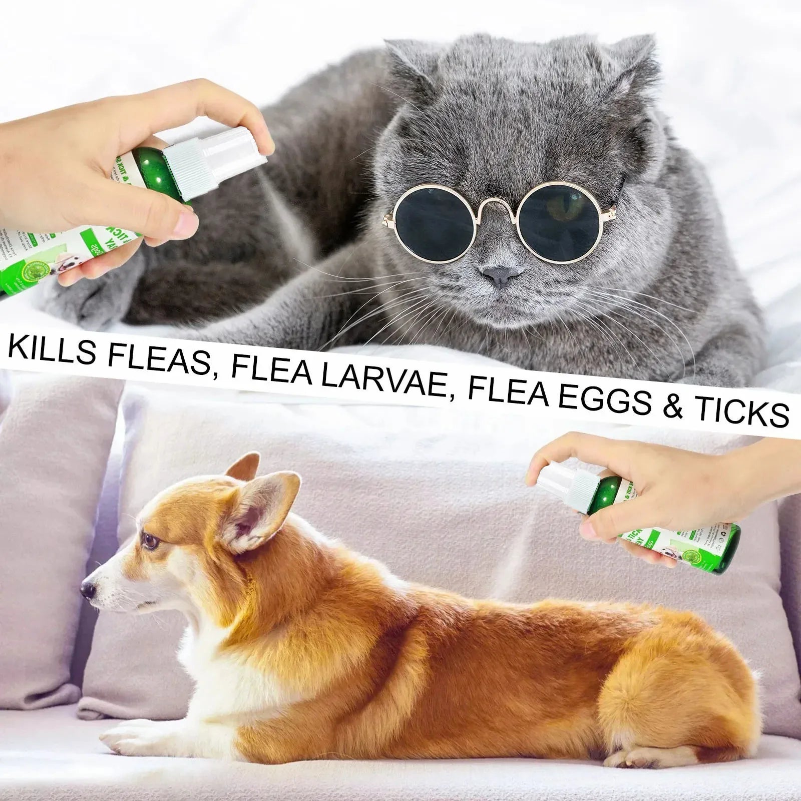 Natural Flea & Tick Spray for Dogs & Cats