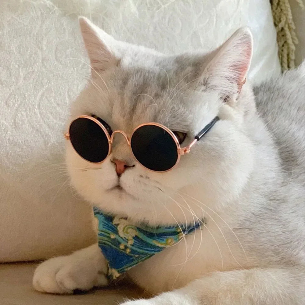 Cute Pet Sunglasses – UV Protection for Small Dogs, Cats & Photo Props