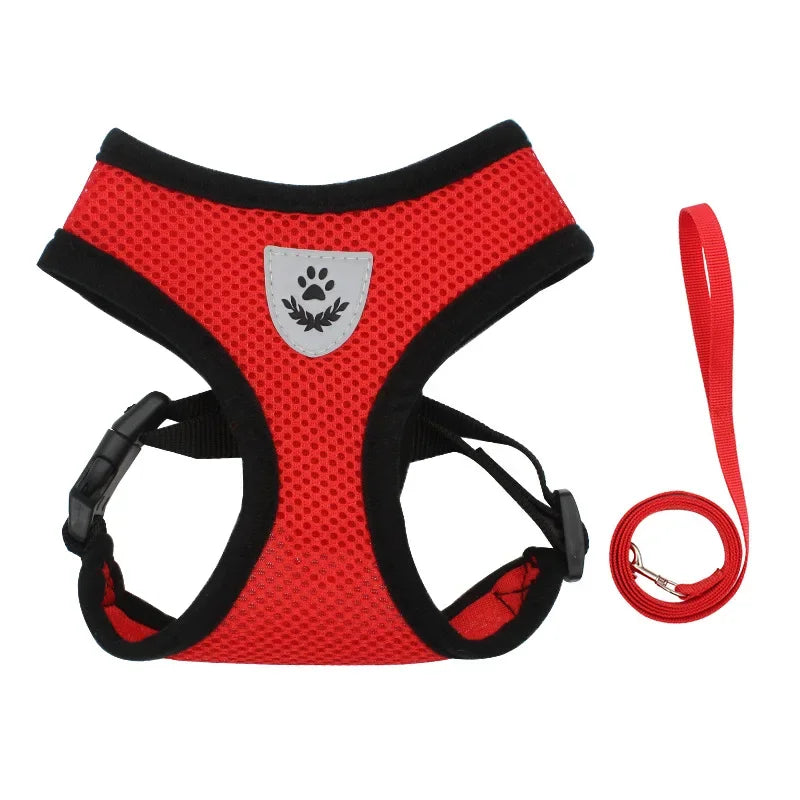 Breathable Mesh Pet Harness & Leash Set