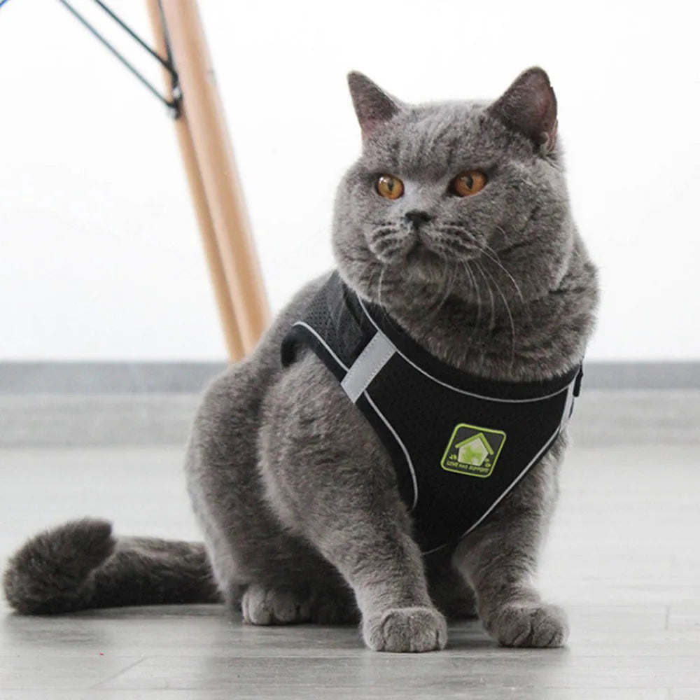 Escape-Proof Vest for Cats, Puppies, and Small Dogs
