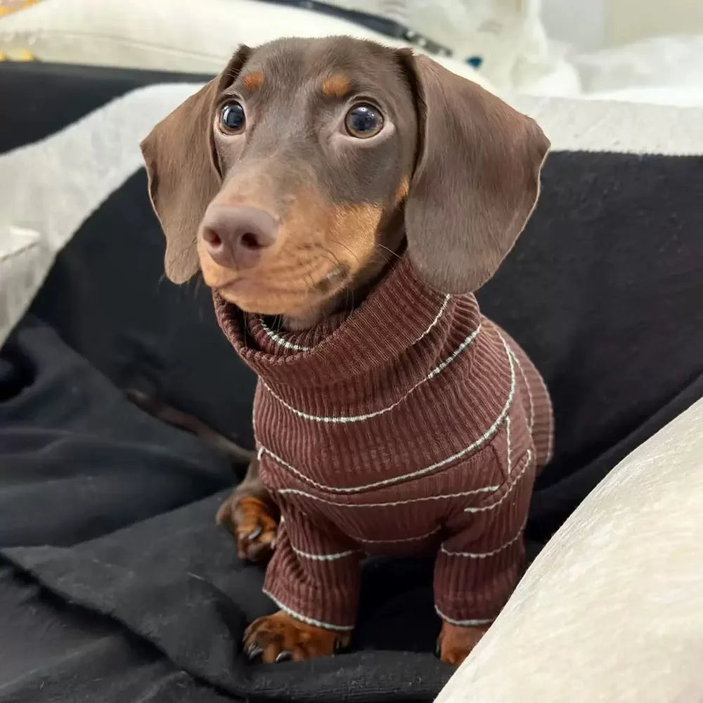 Brown Stripe 2-Leg Dachshund Sweater, Warm Elastic Dog Clothes