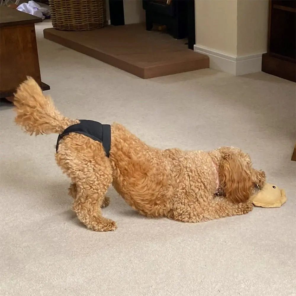 Adjustable Dog Sanitary Pants with 3 Diapers – for Female Dogs