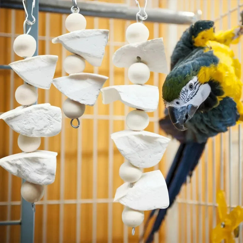 Cuttlefish Bone Hanging Chew Toy — Calcium Supplement & Beak Care for Birds & Small Pets