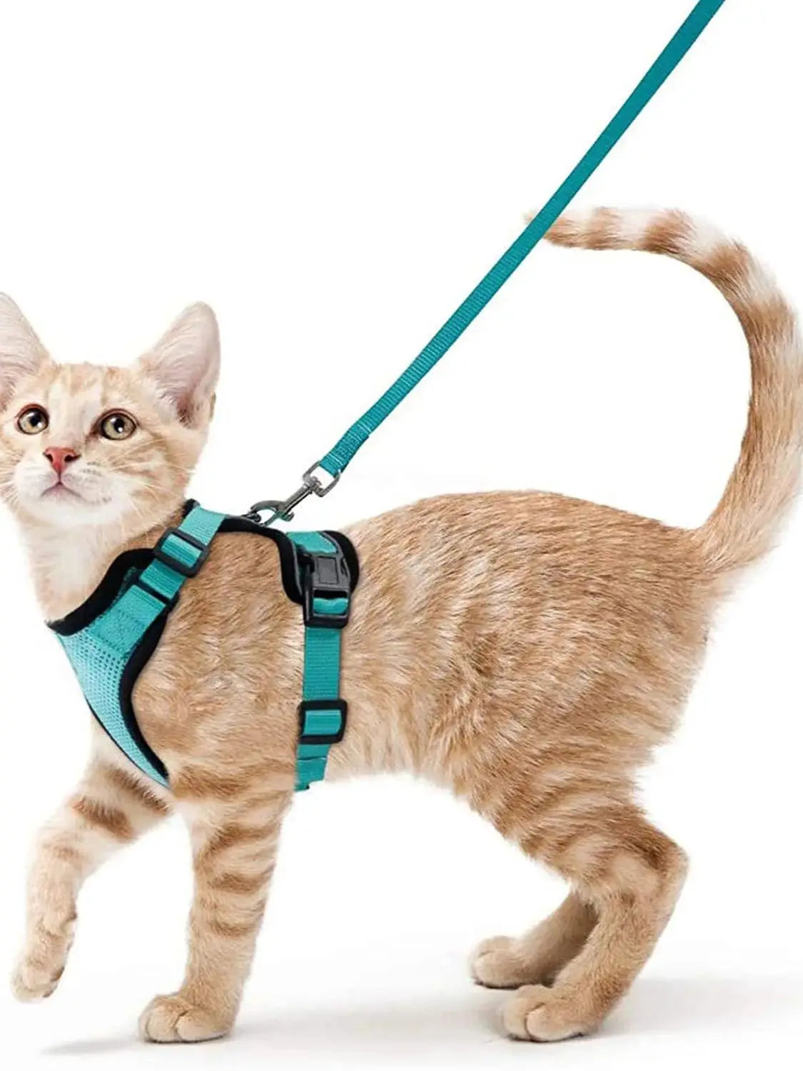 Escape-Proof Cat Harness & Leash Set