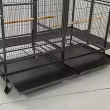 Double Bird Cage with Center Divider