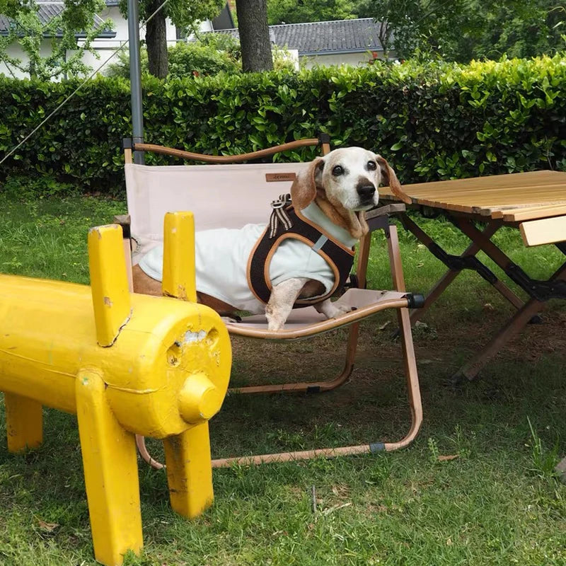 Summer T-Shirt for Dachshunds, Soft Grey Short Sleeve Vest for Wiener Dogs