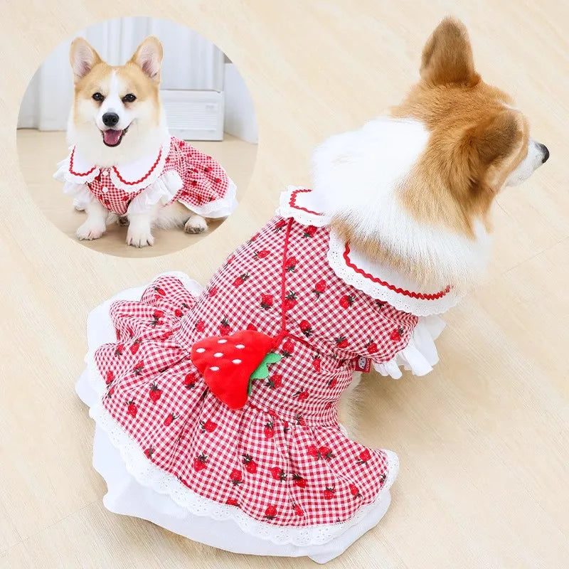 Strawberry Plaid Dog Dress – Cute Summer Outfit for Small & Medium Dogs and Cats