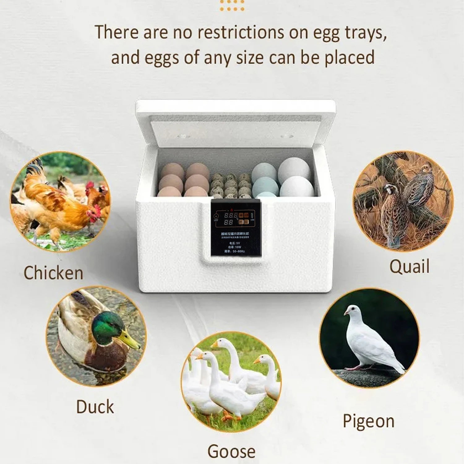 USB Poultry Incubator with Thermostat, Manual Turn, Bionic Waterbed & Egg Candler