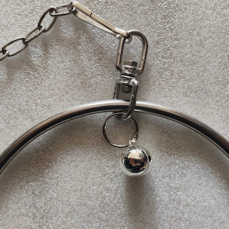 Stainless Steel Parrot Swing