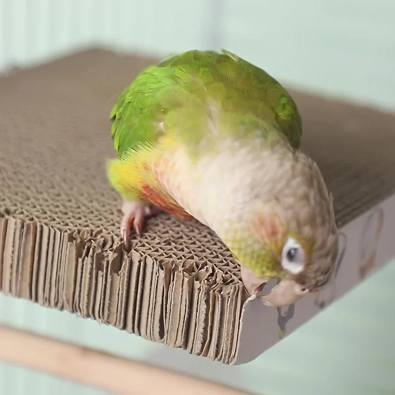 Parrot Chew Toys
