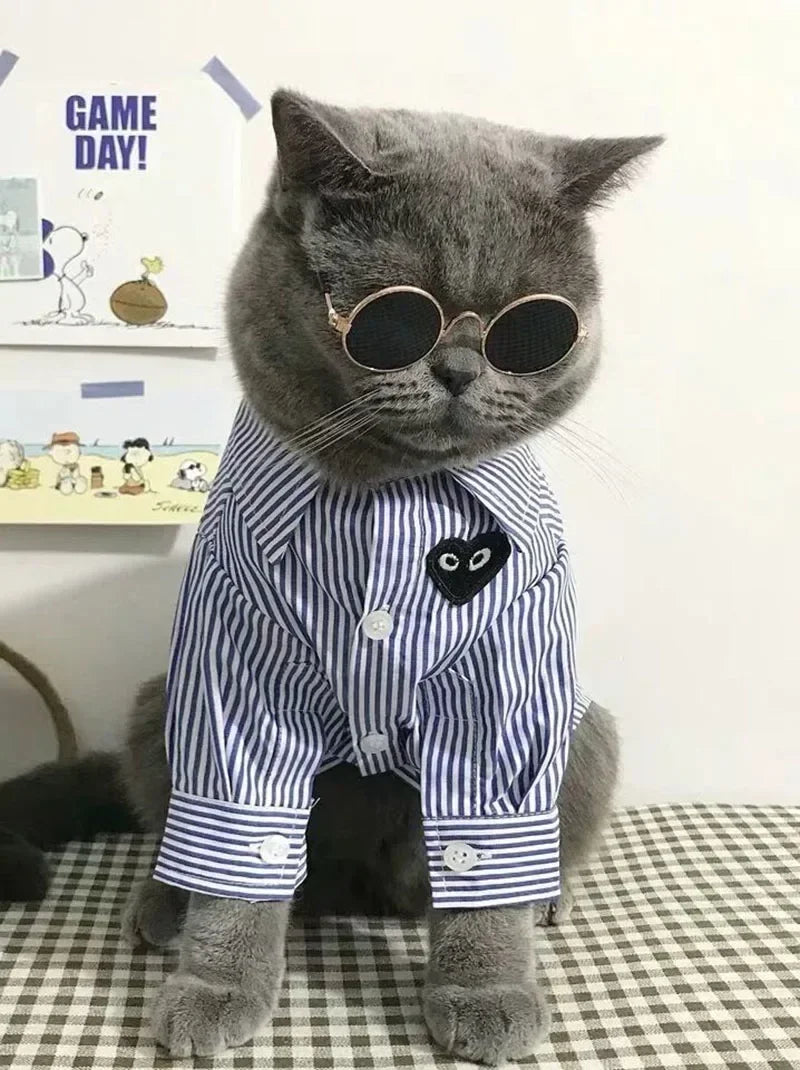 Cute Pet Sunglasses – UV Protection for Small Dogs, Cats & Photo Props