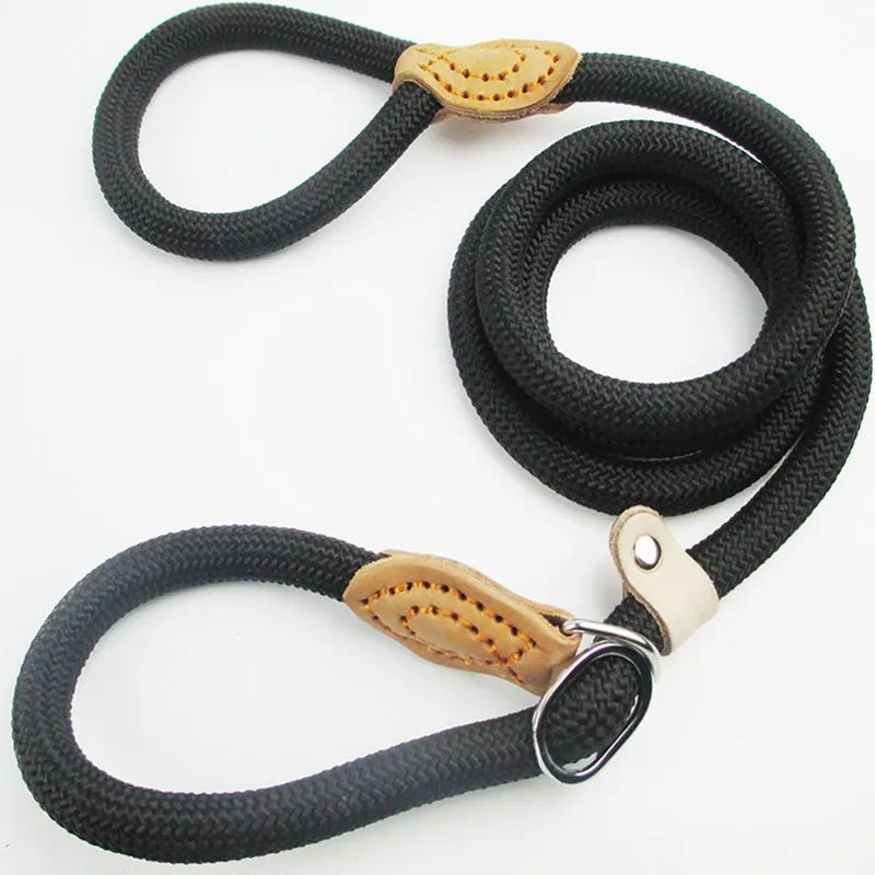 Heavy-Duty Slip Rope Dog Leash – for Medium & Large Dogs