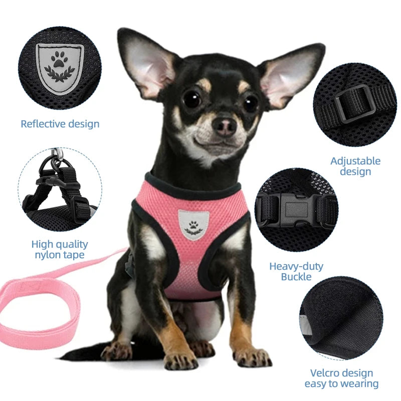 Breathable Mesh Pet Harness & Leash Set