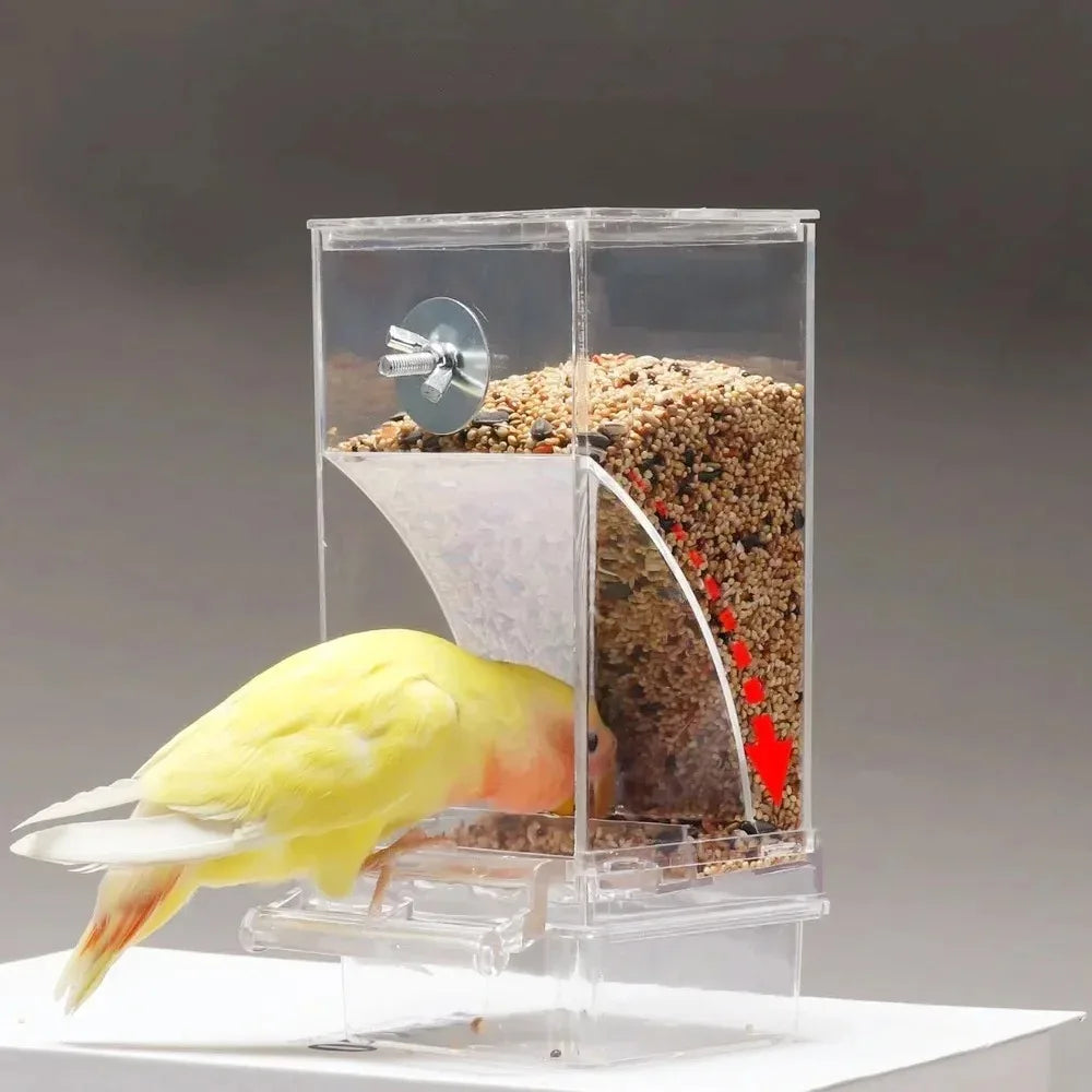 Large Capacity Splash-Proof Automatic Bird Feeder for Small Parrots