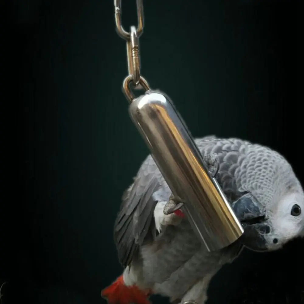 Heavy-Duty Stainless Steel Bell Toy
