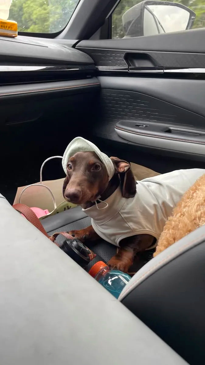 Summer T-Shirt for Dachshunds, Soft Grey Short Sleeve Vest for Wiener Dogs