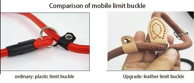 Heavy-Duty Slip Rope Dog Leash – for Medium & Large Dogs