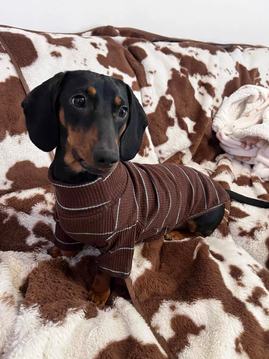 Brown Stripe 2-Leg Dachshund Sweater, Warm Elastic Dog Clothes