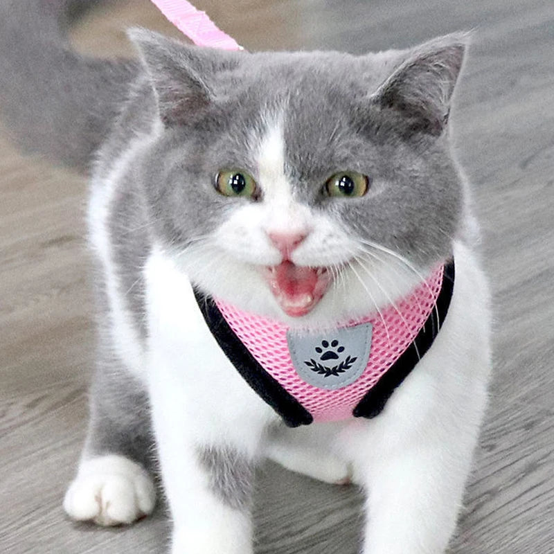Breathable Mesh Pet Harness & Leash Set