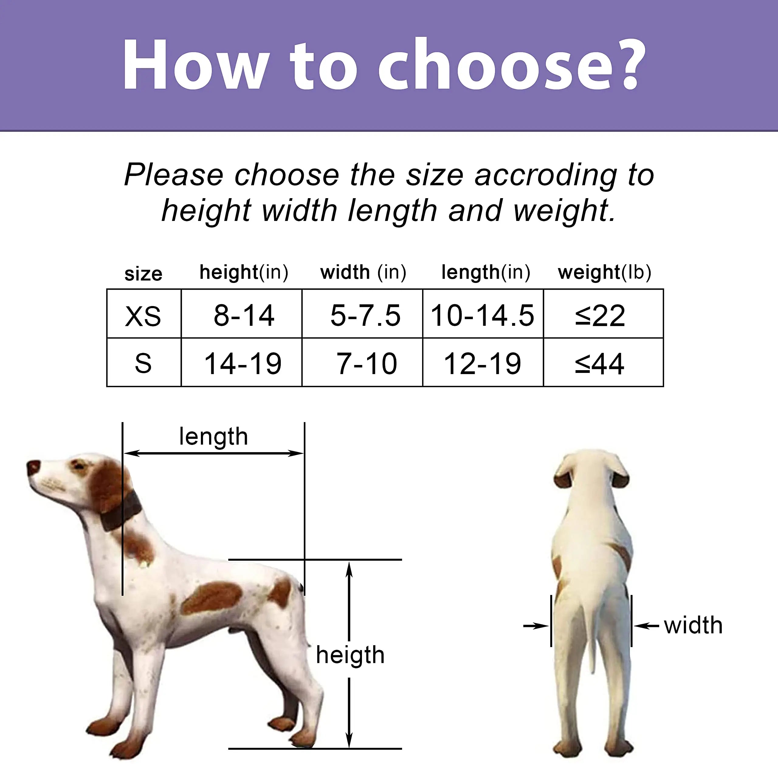 Adjustable Dog Wheelchair, Pet Disability Stroller for Back Leg Support with Large Wheels