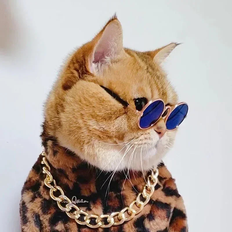 Cute Pet Sunglasses – UV Protection for Small Dogs, Cats & Photo Props