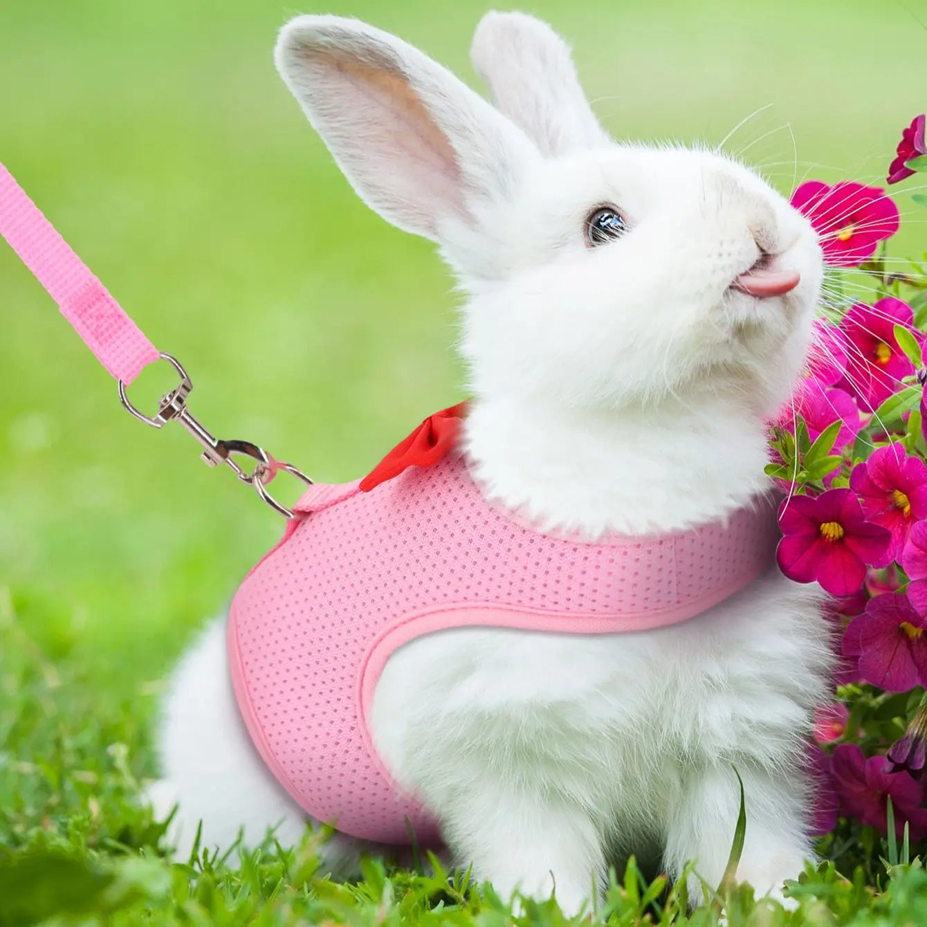 Soft Mesh Comfort Harness Vest for Rabbits & Small Pets