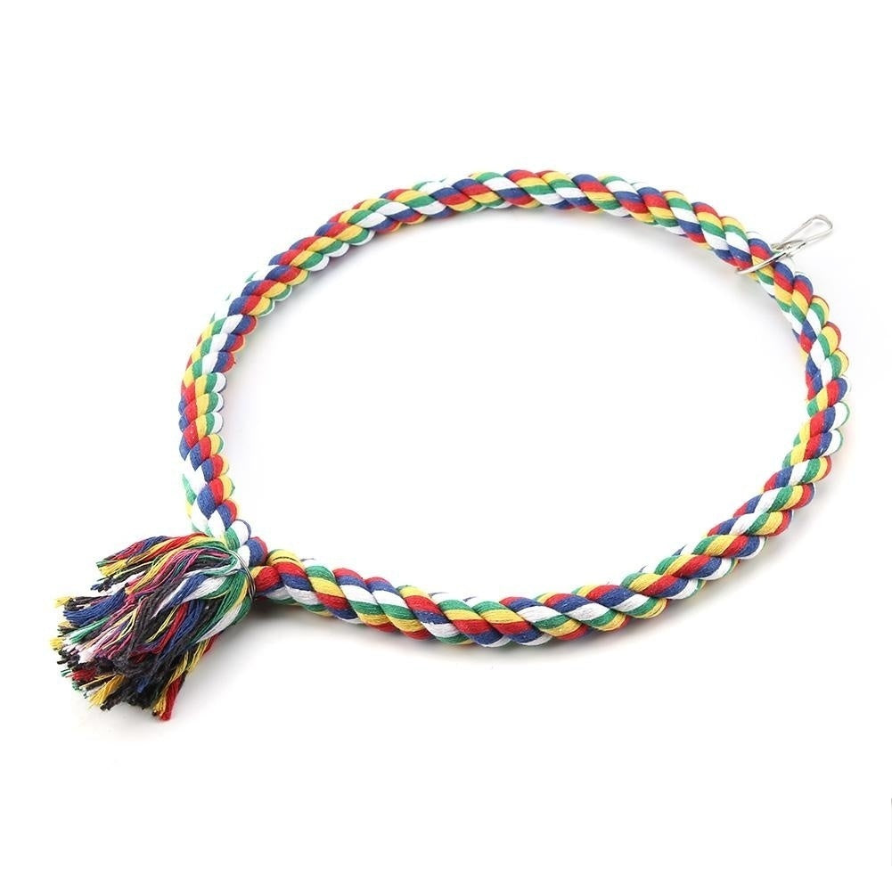 Parrot Rope Ring Swing
