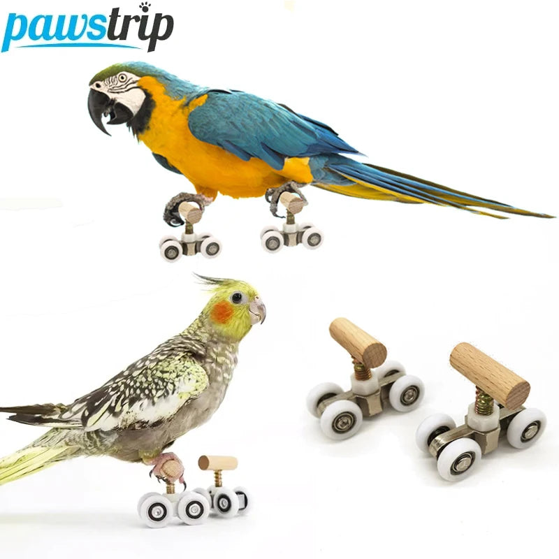 1 Pair Parrot Roller Skates — Mini Bird Training & Trick Toy