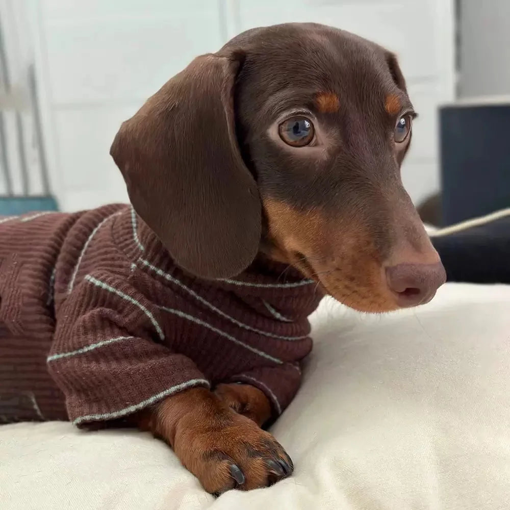 Brown Stripe 2-Leg Dachshund Sweater, Warm Elastic Dog Clothes