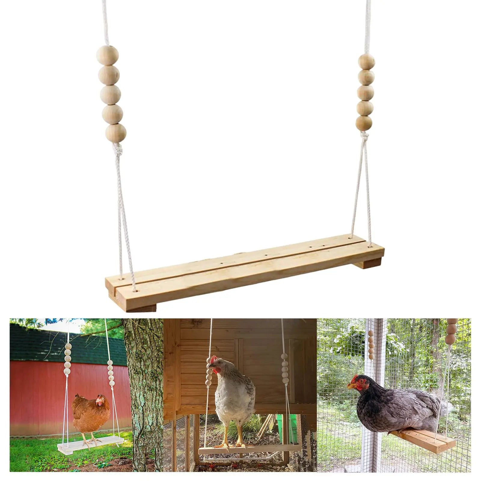 Chicken Swing & Bird Perch