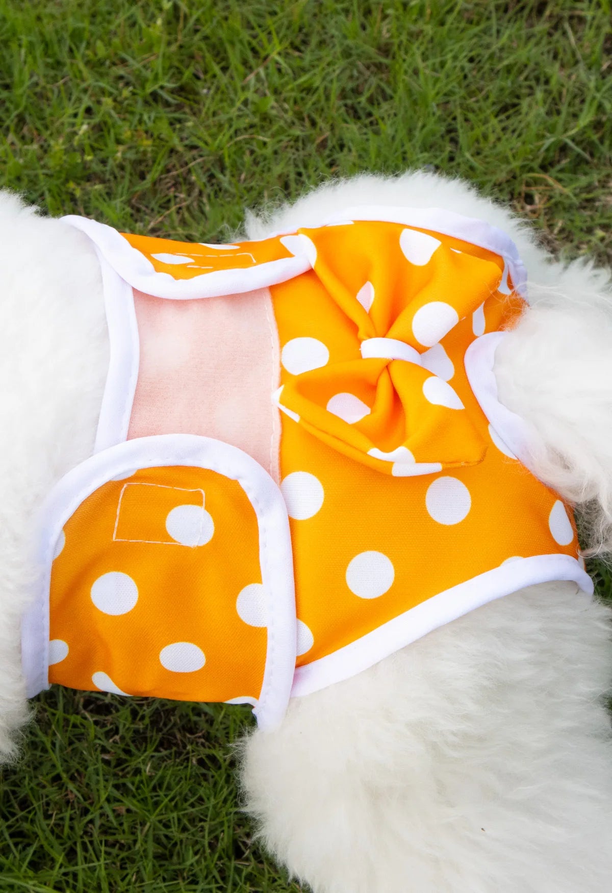 Reusable Female Dog Diaper Pants
