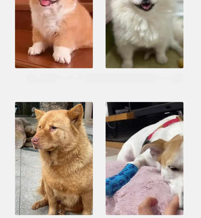 Non-Slip Ramp for Dogs & Cats - 2/3 Step Washable Memory Foam Pet Stairs