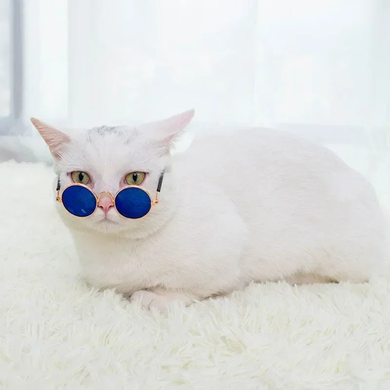Cute Pet Sunglasses – UV Protection for Small Dogs, Cats & Photo Props