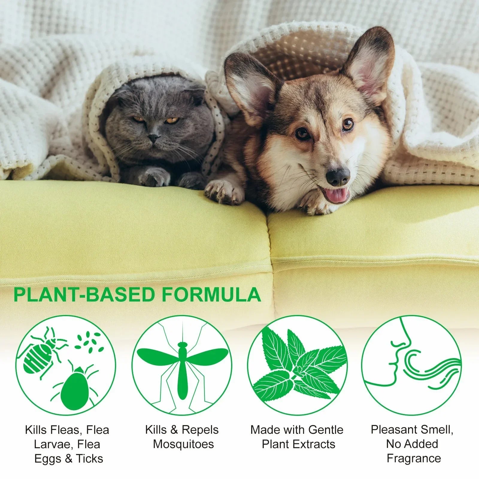 Natural Flea & Tick Spray for Dogs & Cats