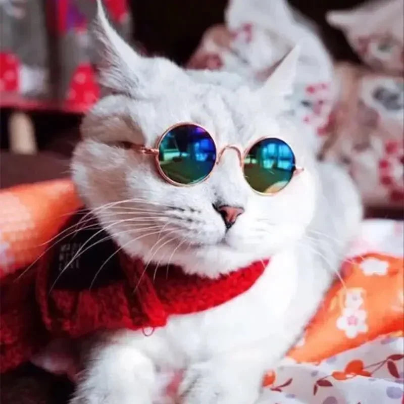 Cute Pet Sunglasses – UV Protection for Small Dogs, Cats & Photo Props