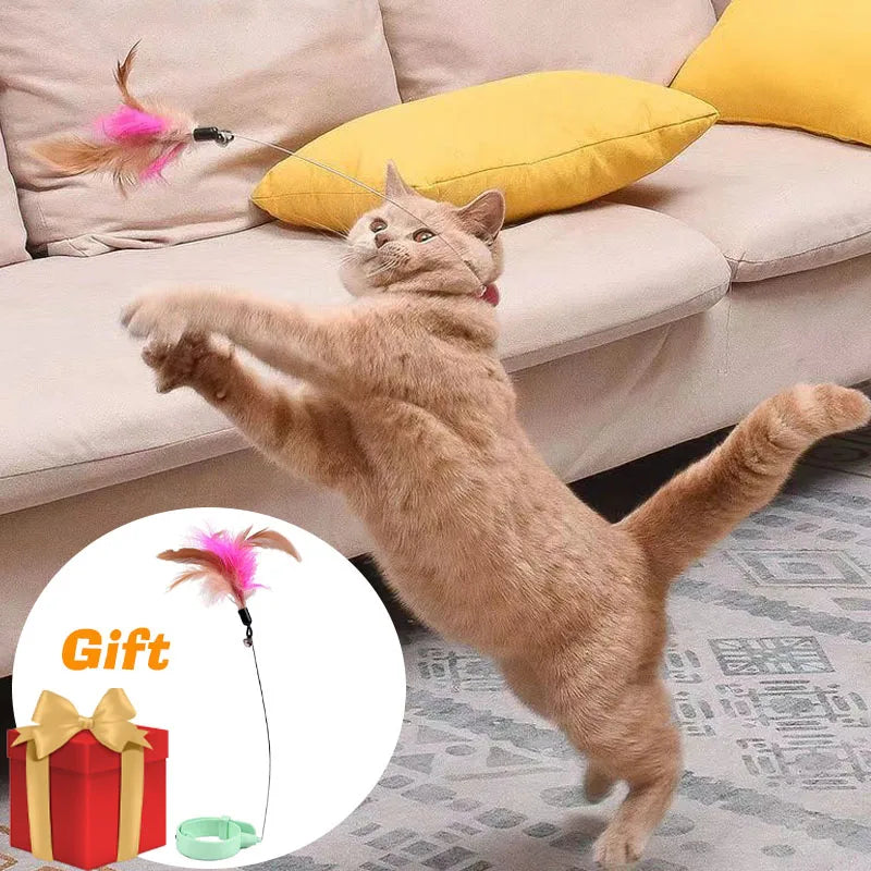 Interactive Chirping Mouse for Kittens to Relieve Boredom