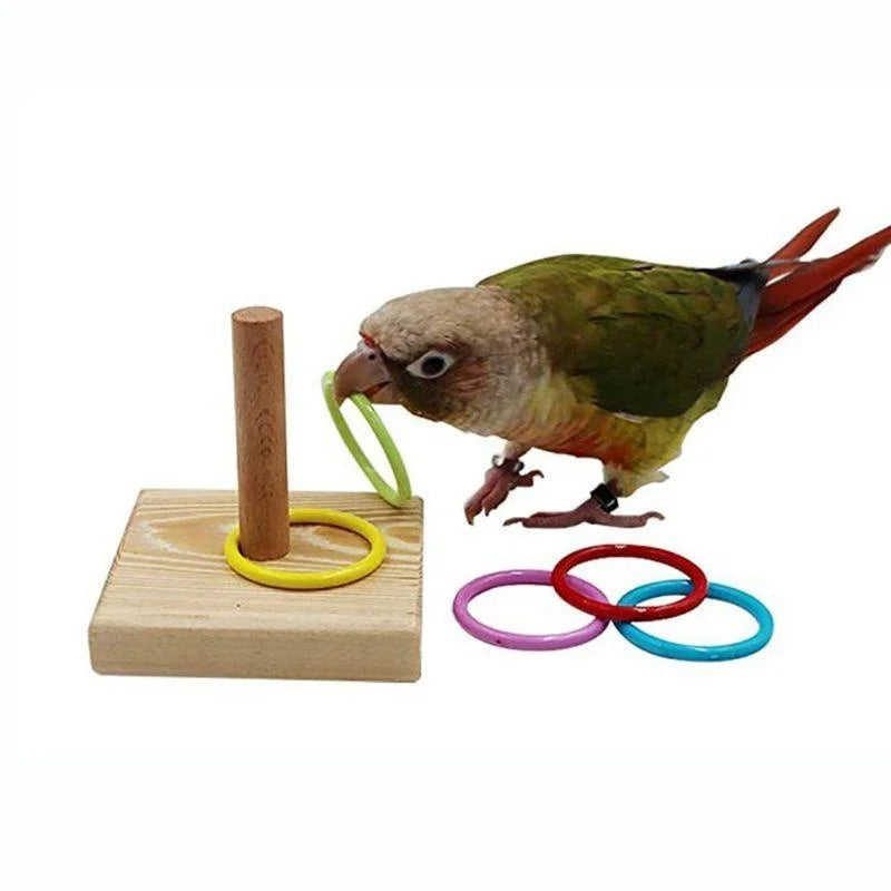 Bird Training Ring Toy — Interactive Educational Parrot Toy