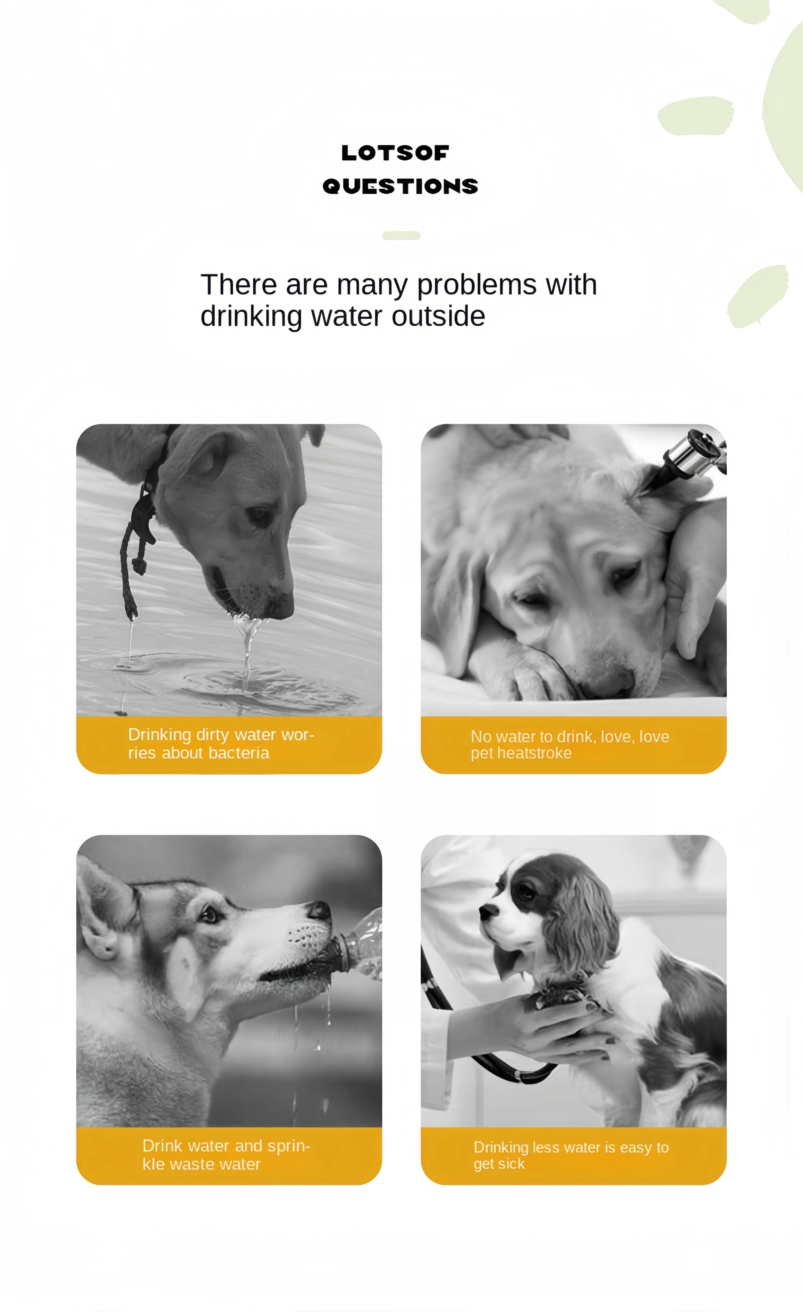 Portable Dog Water Bottle with Food Dispenser