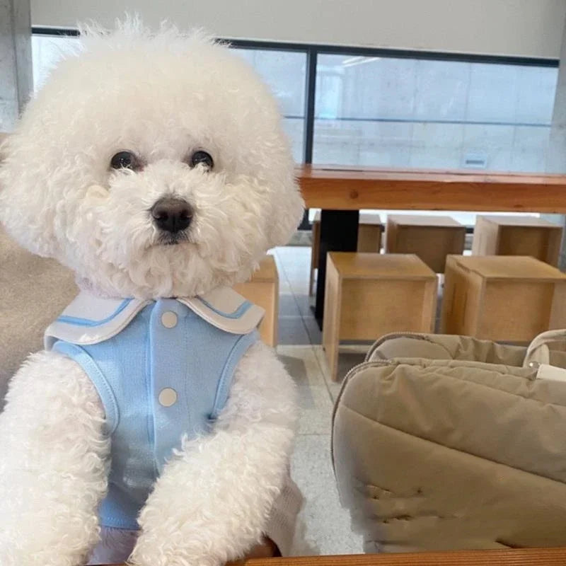 Striped Polo Shirt for Small & Medium Dogs, Puppy T-Shirt Vest