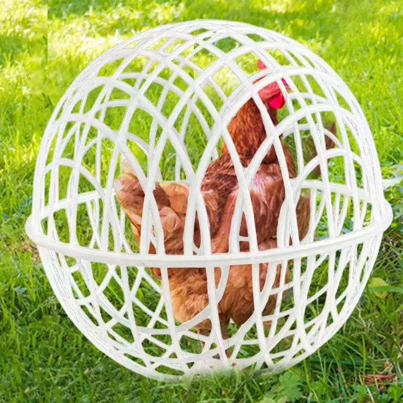 3-Piece Chicken Rolling Safety Ball Cages for Small Pets