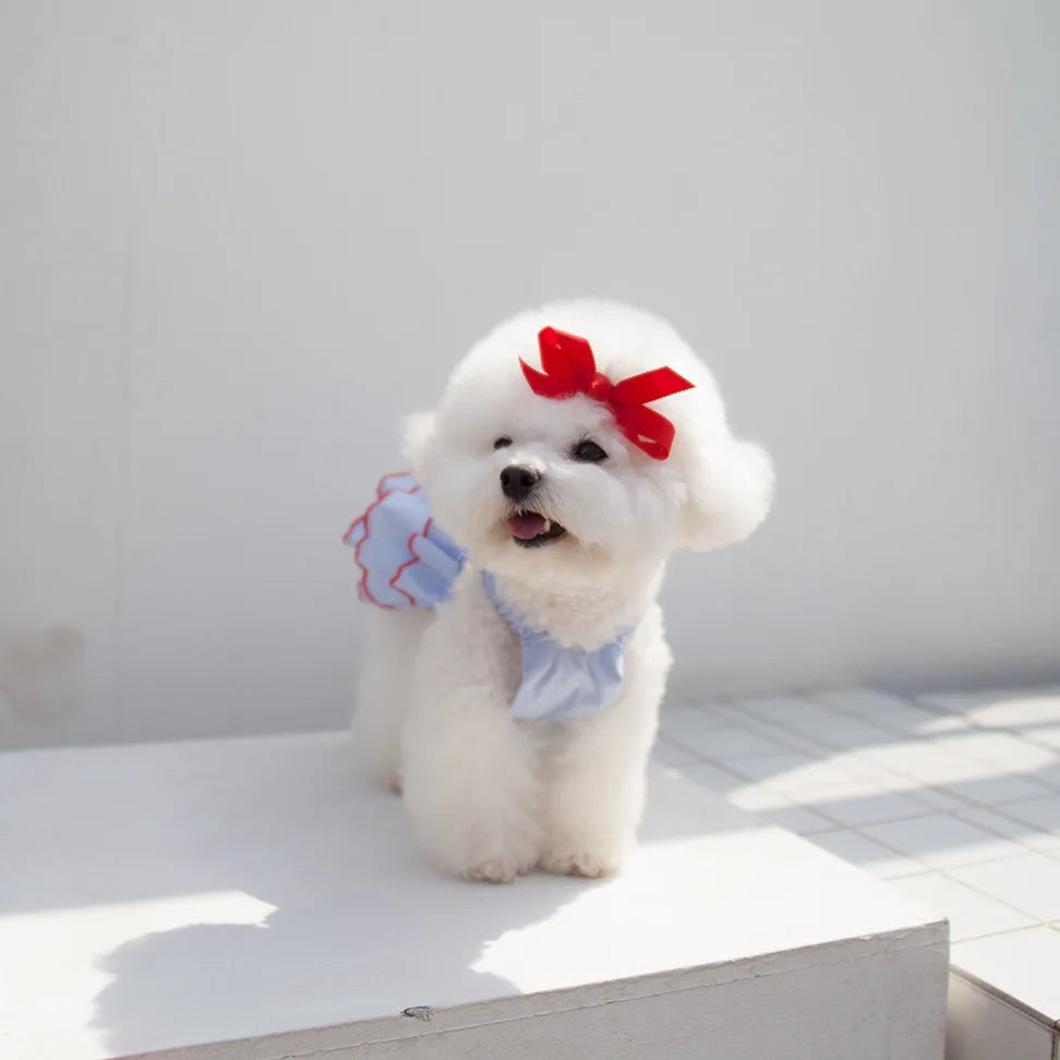 Dog Summer Princess Dress, Cute Skirt for Small Dogs, Puppies & Cats