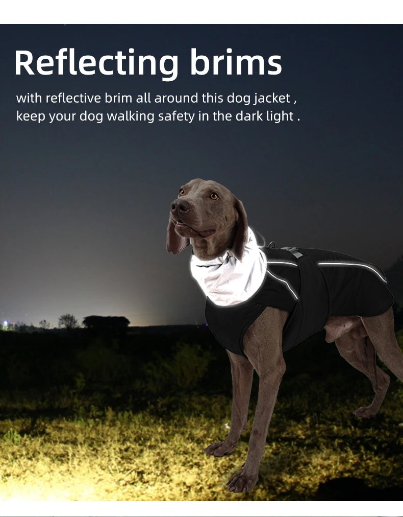 Luxury Winter Dog Jacket, Waterproof Padded Warm Coat with Reflective Safety