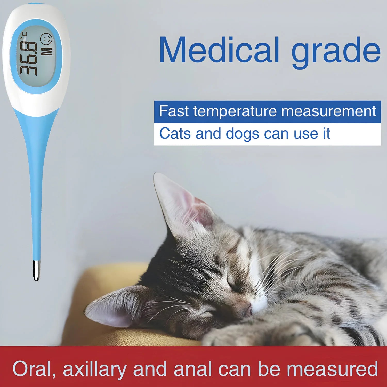 Professional LED Pet Thermometer