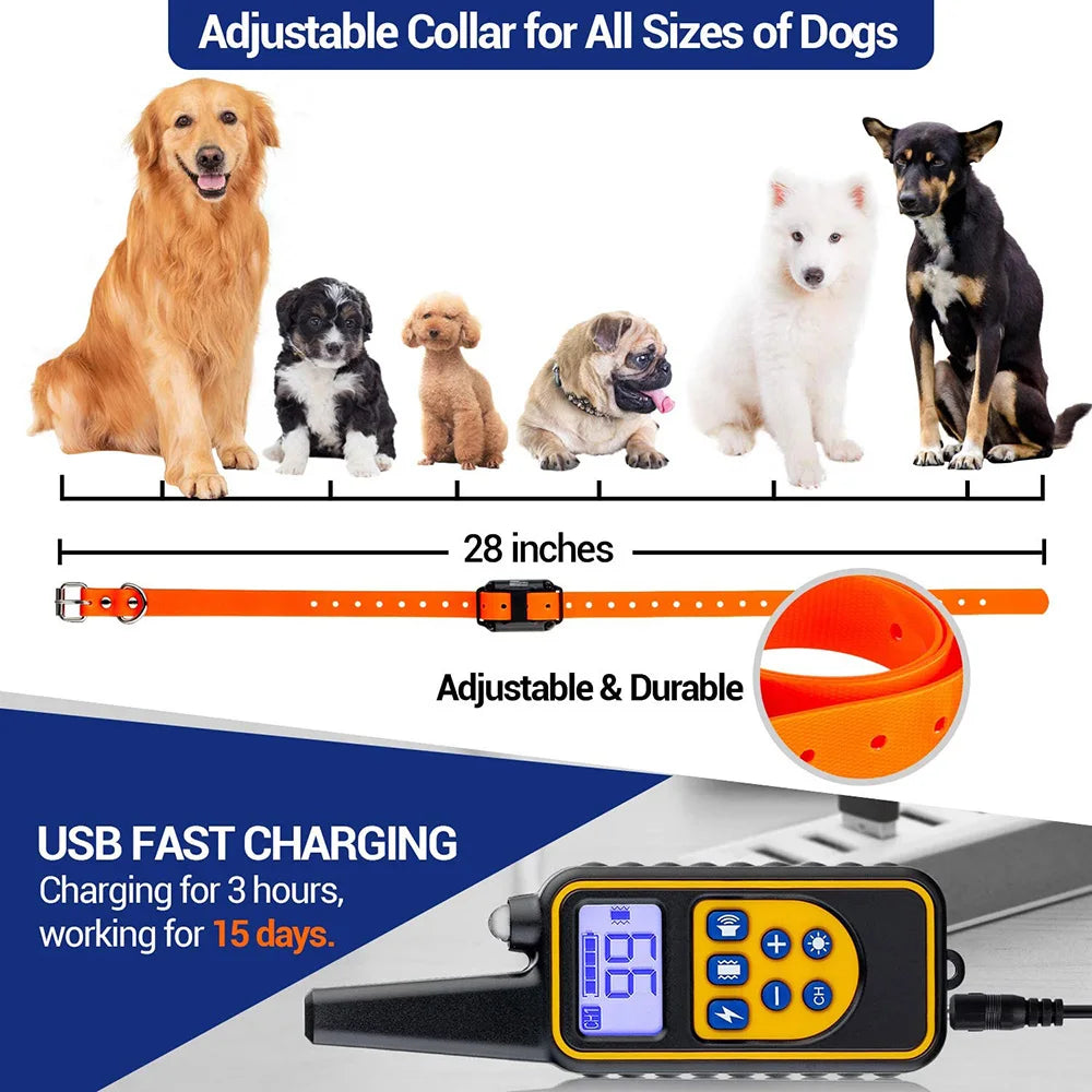 Anti-Bark Dog Training Collar — Rechargeable Shock, Vibration & Clicker Set