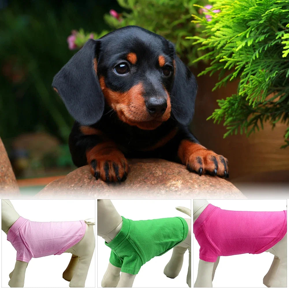 Solid Color Summer Dog T-Shirt Vest, Breathable Cotton for Dachshunds