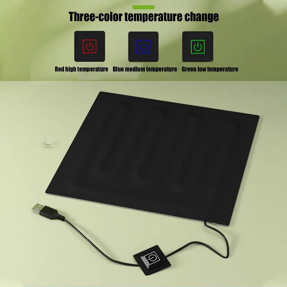 Chicken Brooder Box & Bird Incubator with Adjustable Heating